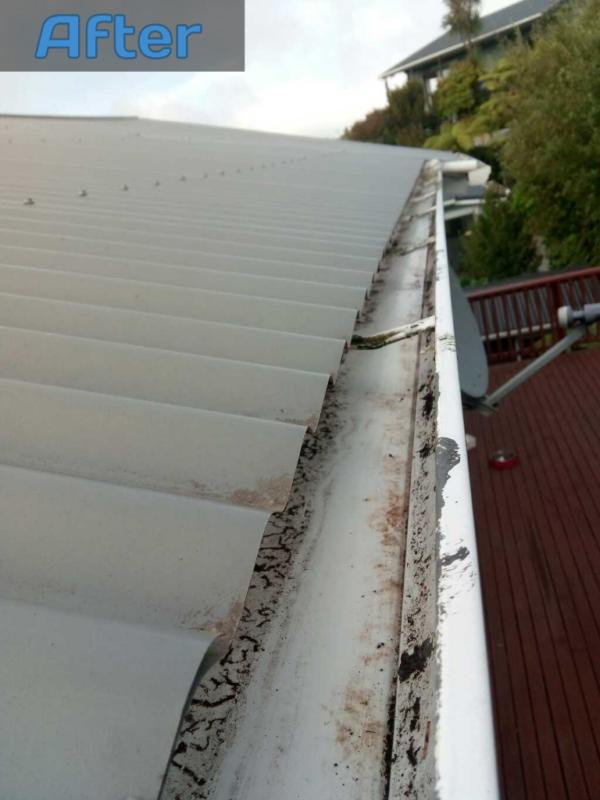 Gutter Cleaning - Go With The Flow